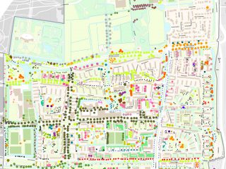 Bomenwandeling Mariahoeve