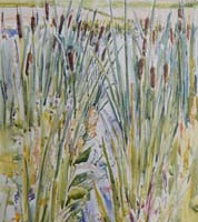 duivenvoordse polder