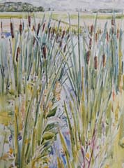 Duivenvoordse-Veenzijdse polder