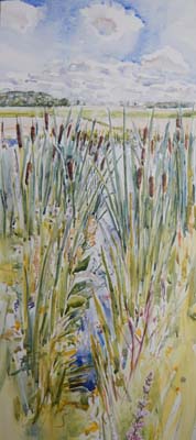 duivenvoordse polder